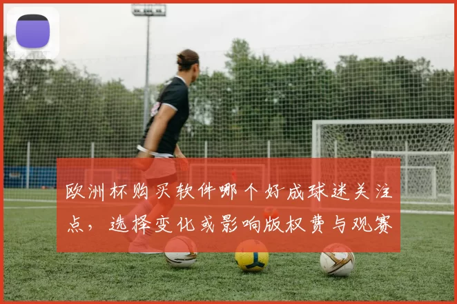 欧洲杯购买软件哪个好成球迷关注点,选择变化或影响版权费与观赛渠道