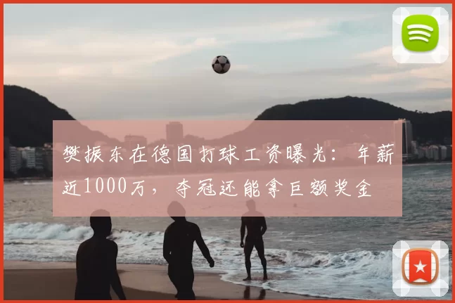 樊振东在德国打球工资曝光：年薪近1000万，夺冠还能拿巨额奖金