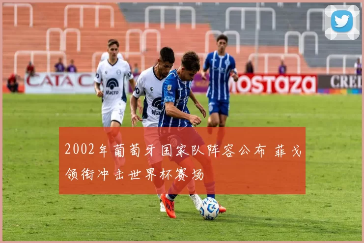2002年葡萄牙国家队阵容公布 菲戈领衔冲击世界杯赛场